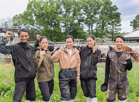 有限会社アイル